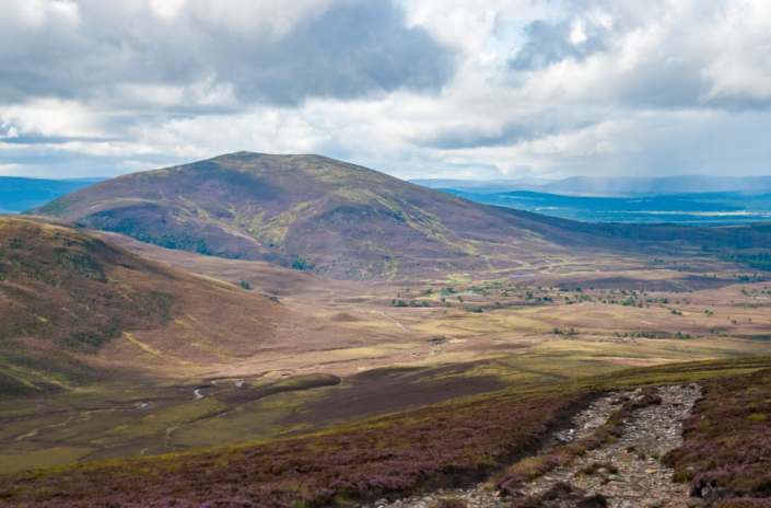Cairngorms landscape representing natural purity